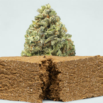 THCA