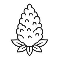 THCA