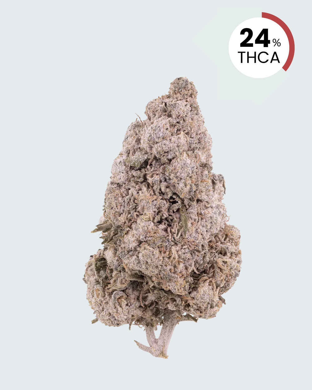 Zkittles | 24% THCA