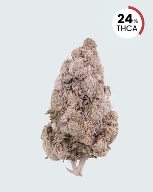 Zkittles | 24% THCA