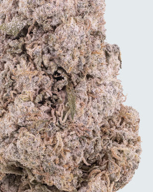 Zkittles | 24% THCA