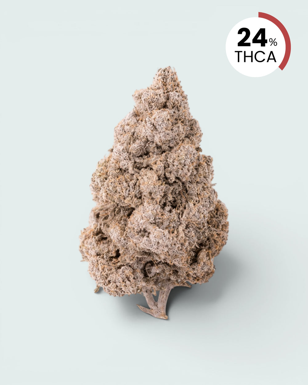 Zkittles | 24% THCA