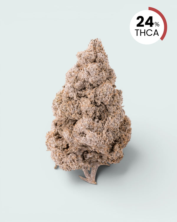 Zkittles | 24% THCA