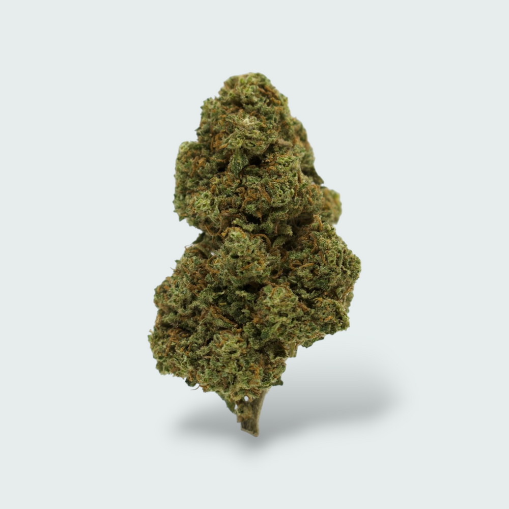 Blueberry Crush - 10% CBD Topskud