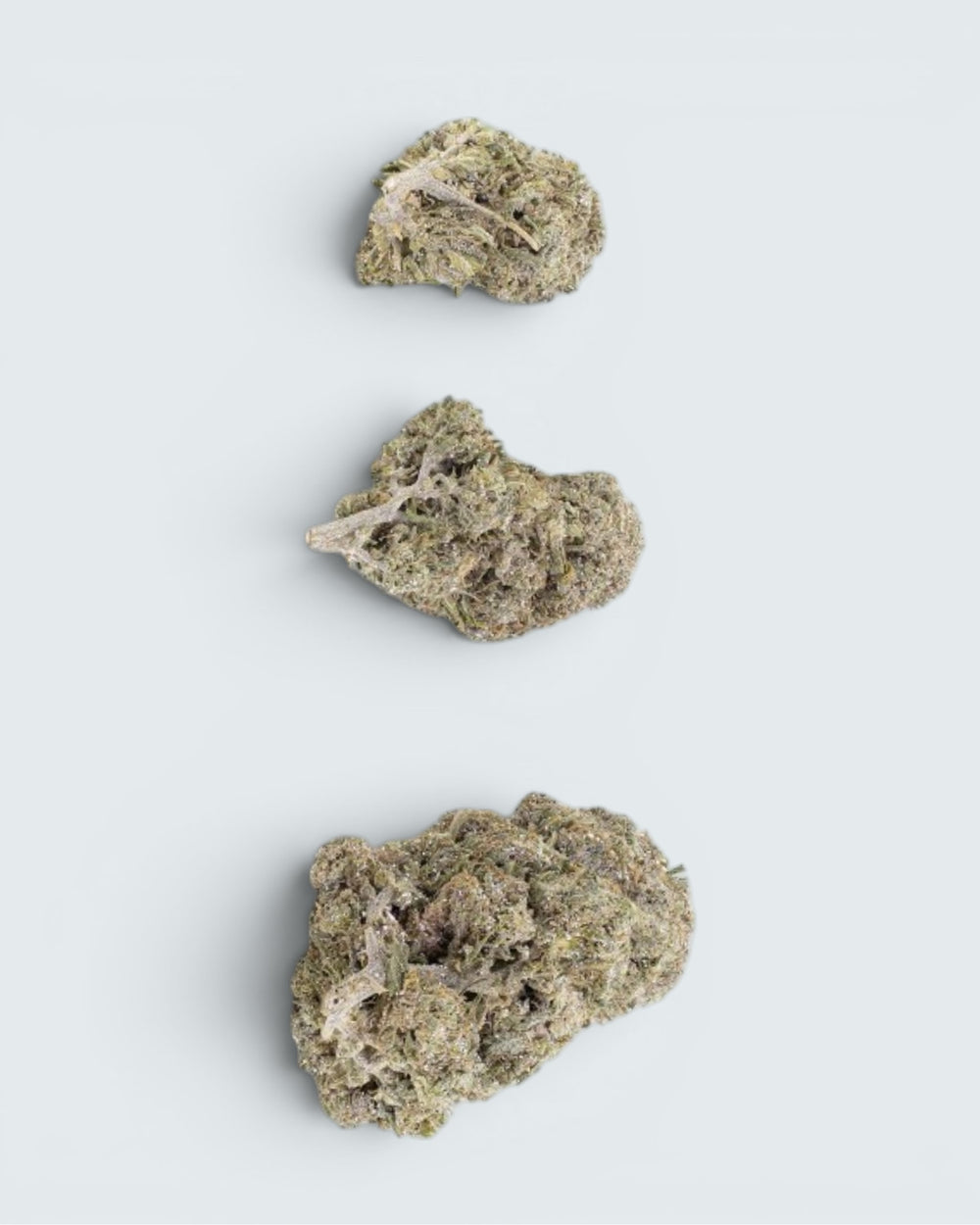 Bangkok Sativa | 22% THCA