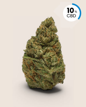 White Widow | 10% CBD
