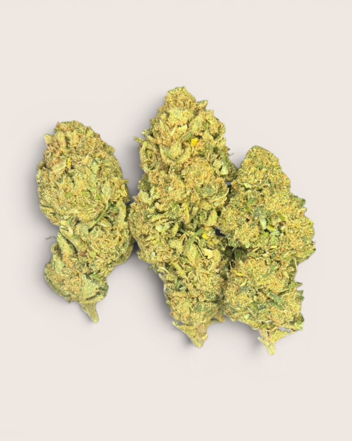 Gorilla | 10% CBD