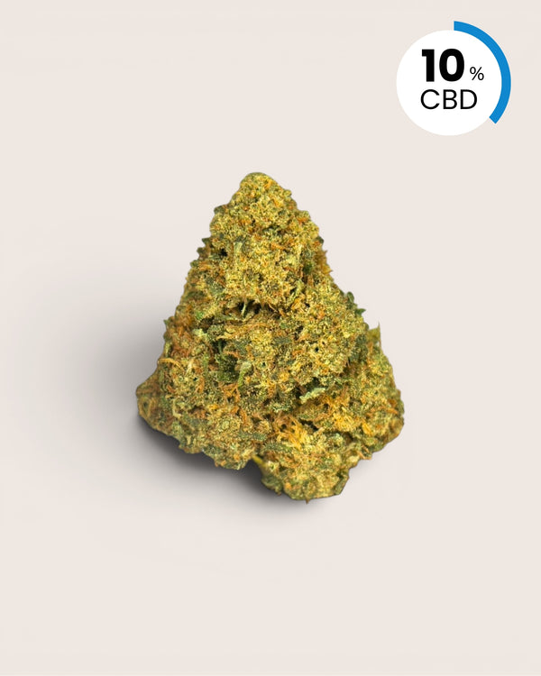 Blueberry Crush | 10% CBD
