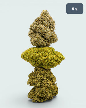 CBD Topskud 3x3