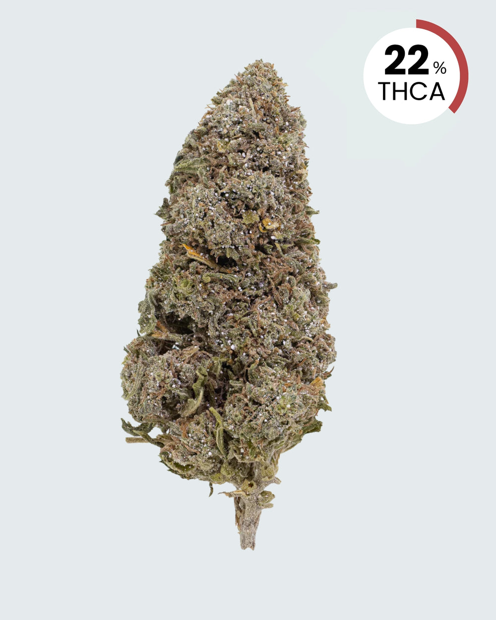 Bangkok Sativa | 22% THCA