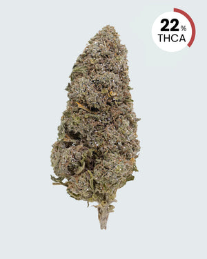 Bangkok Sativa | 22% THCA