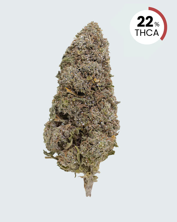 Bangkok Sativa | 22% THCA