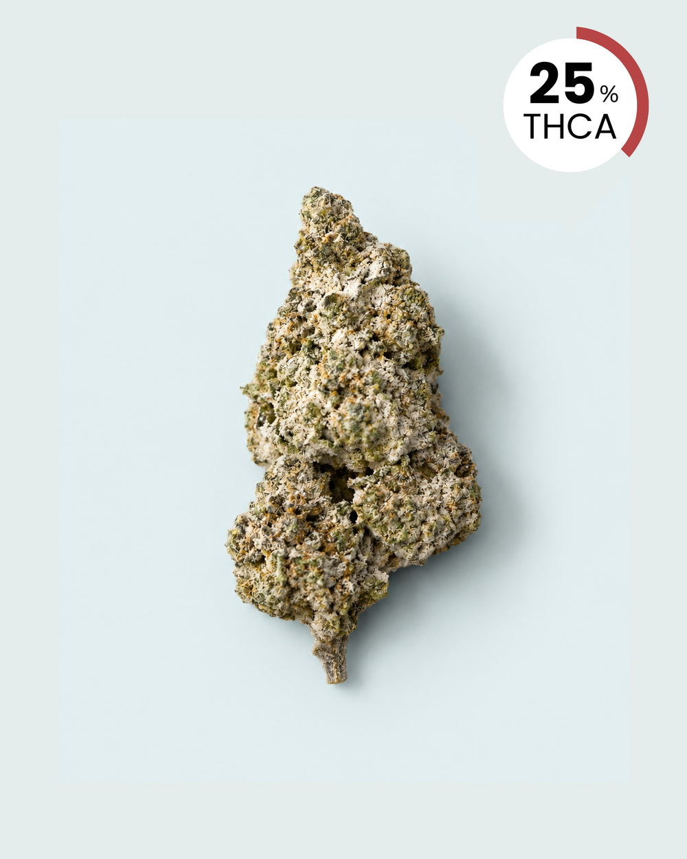 OG KUSH | 25% THCA