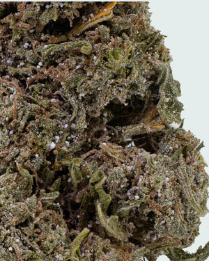 Bangkok Sativa | 22% THCA