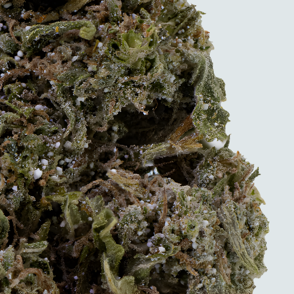 THCA Topskud Closeup