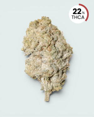 Bangkok Sativa | 22% THCA