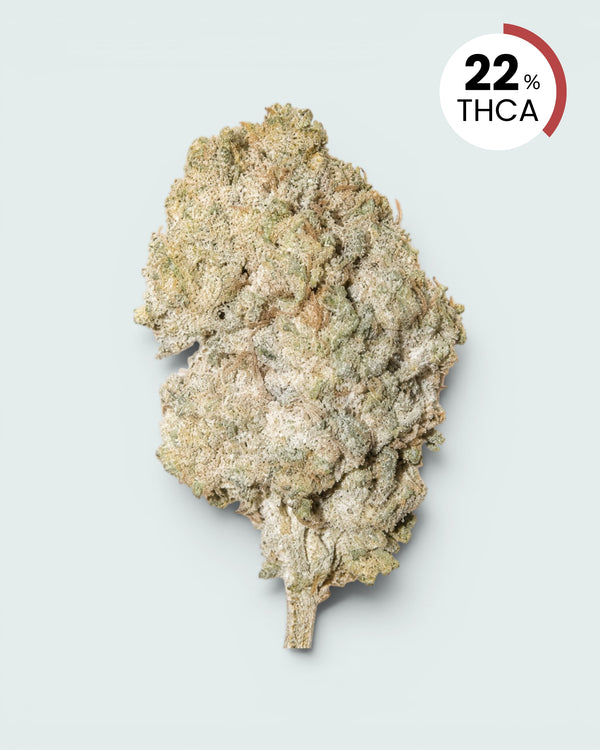 Bangkok Sativa | 22% THCA