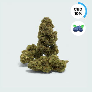 Blueberry Crush - 10% CBD Topskud