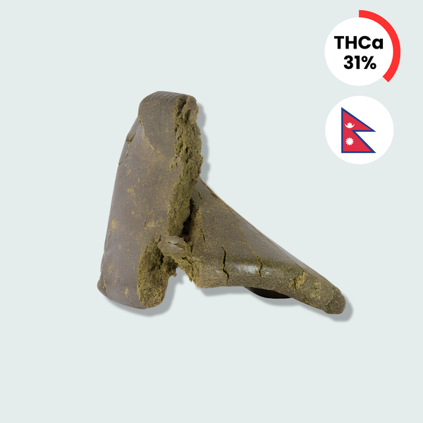 Sort Nepaleser - 31% THCA Hash