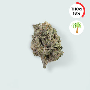 Bangkok Sativa - 18% THCA Topskud