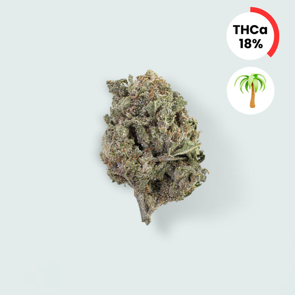 Bangkok Sativa - 18% THCA Topskud