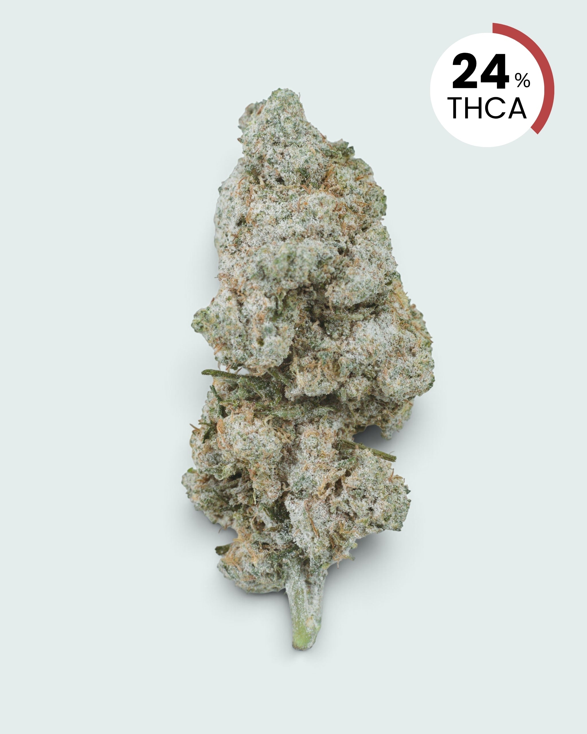 Zkittles | 24% THCA