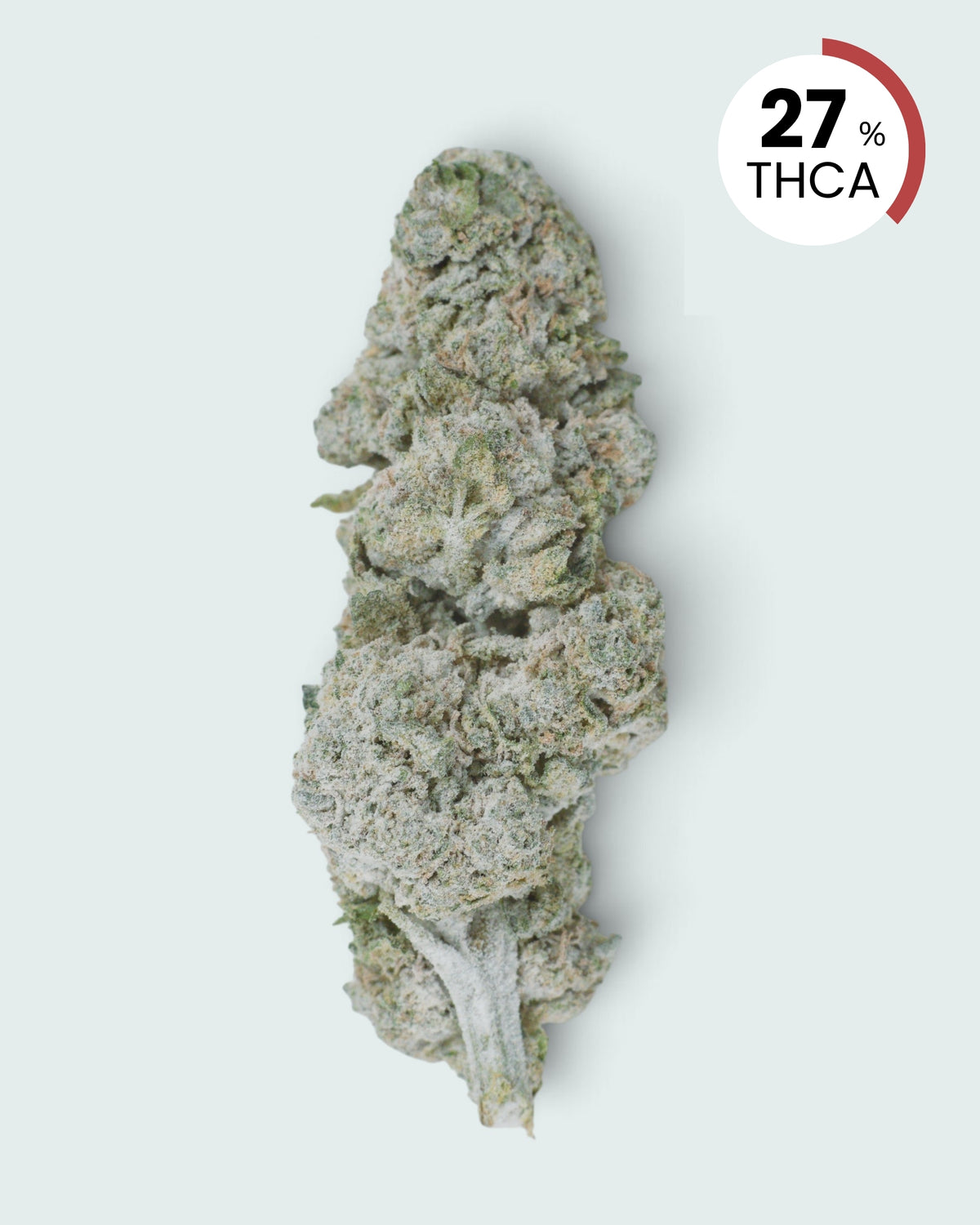 Lemoncello | 27% THCA