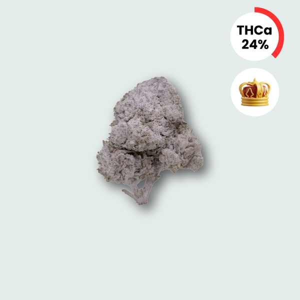 OG Kush - 24% THCA Topskud