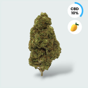 Tropical Mango - 10% CBD Topskud