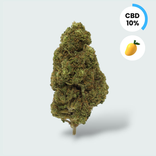 Tropical Mango - 10% CBD Topskud