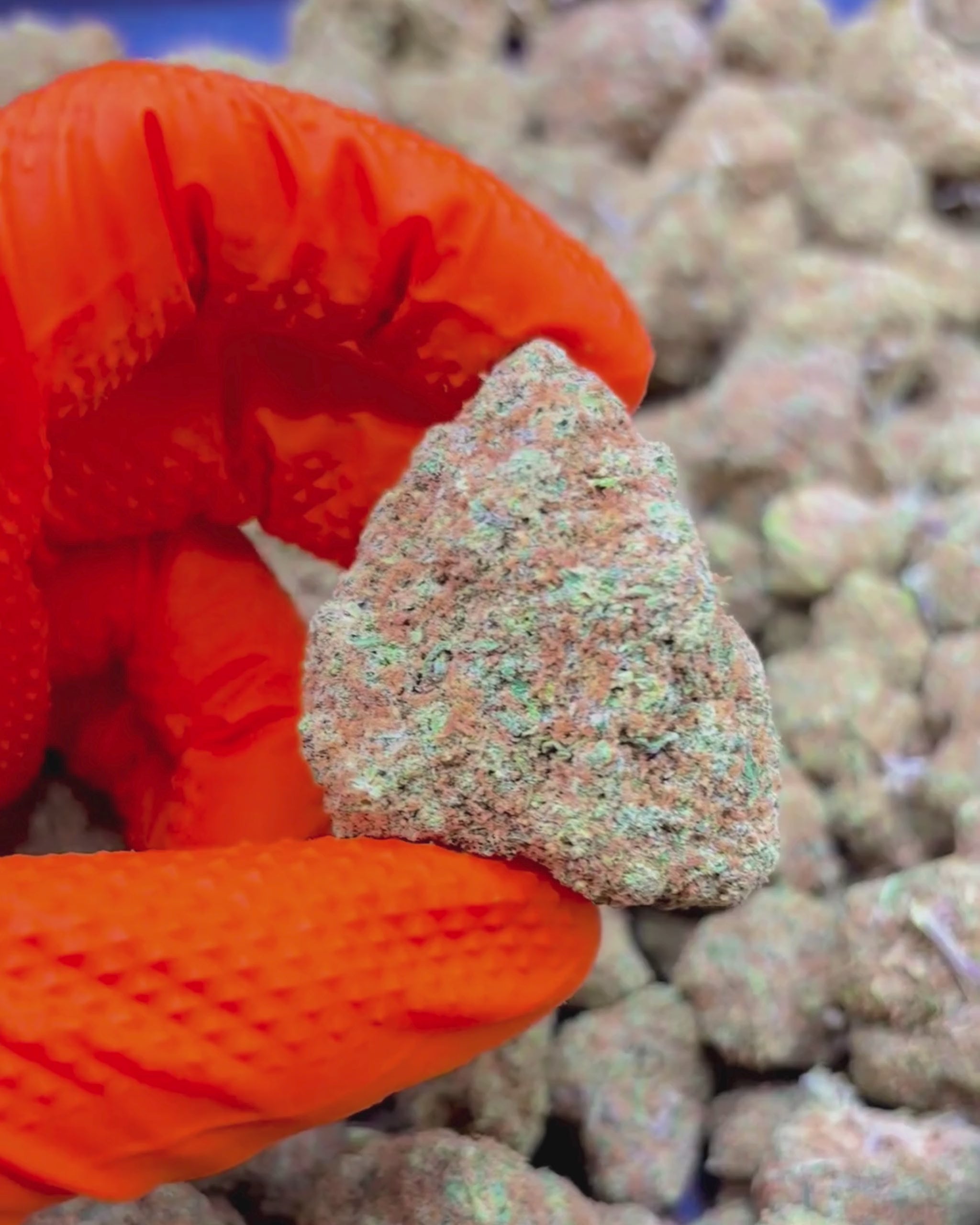Blue Zushi | 10% CBD
