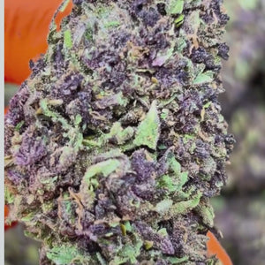 Purple Haze - 12% CBD