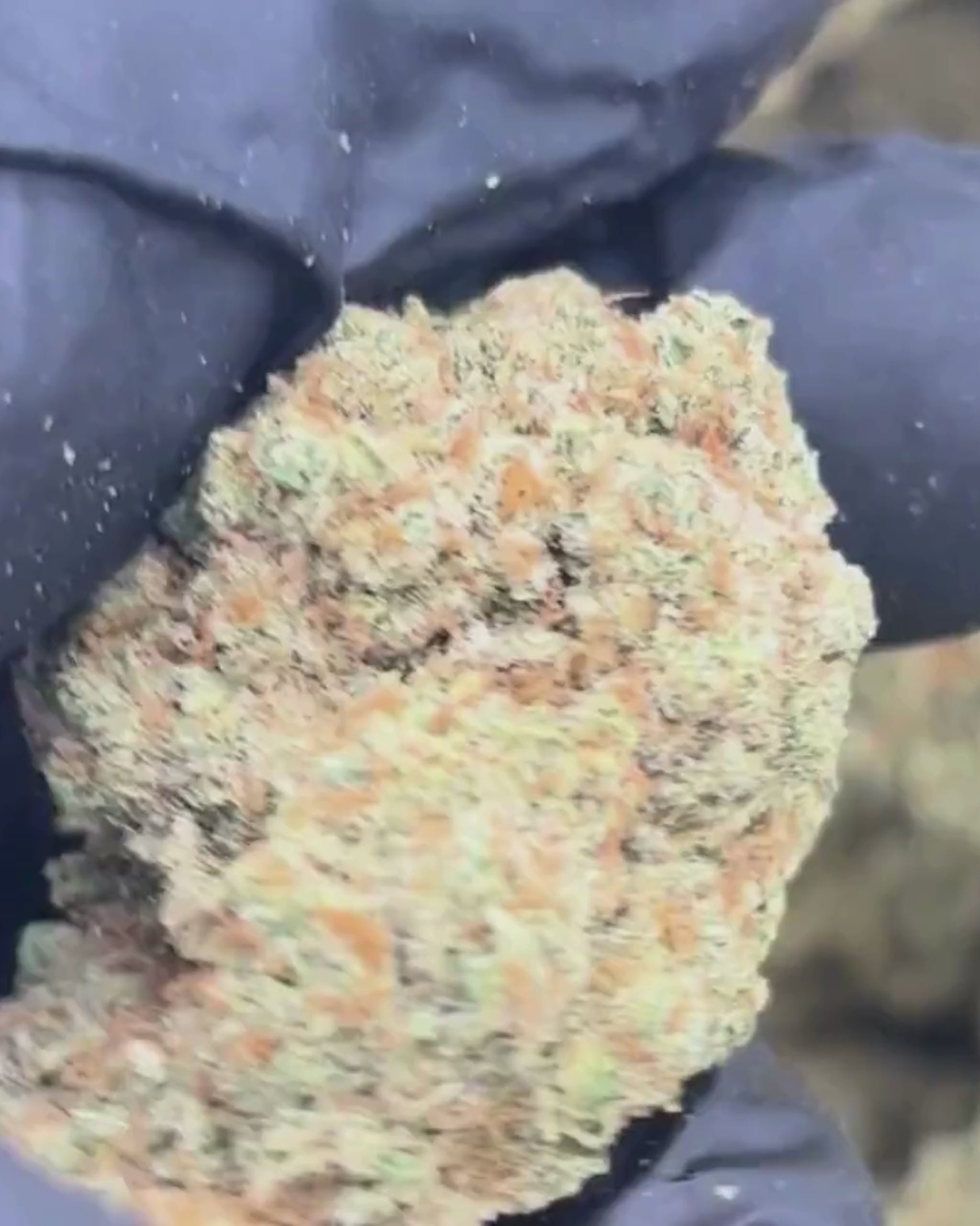 Super Lemon Haze | 15% CBD