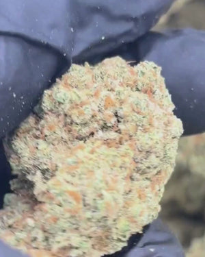 Super Lemon Haze | 15% CBD