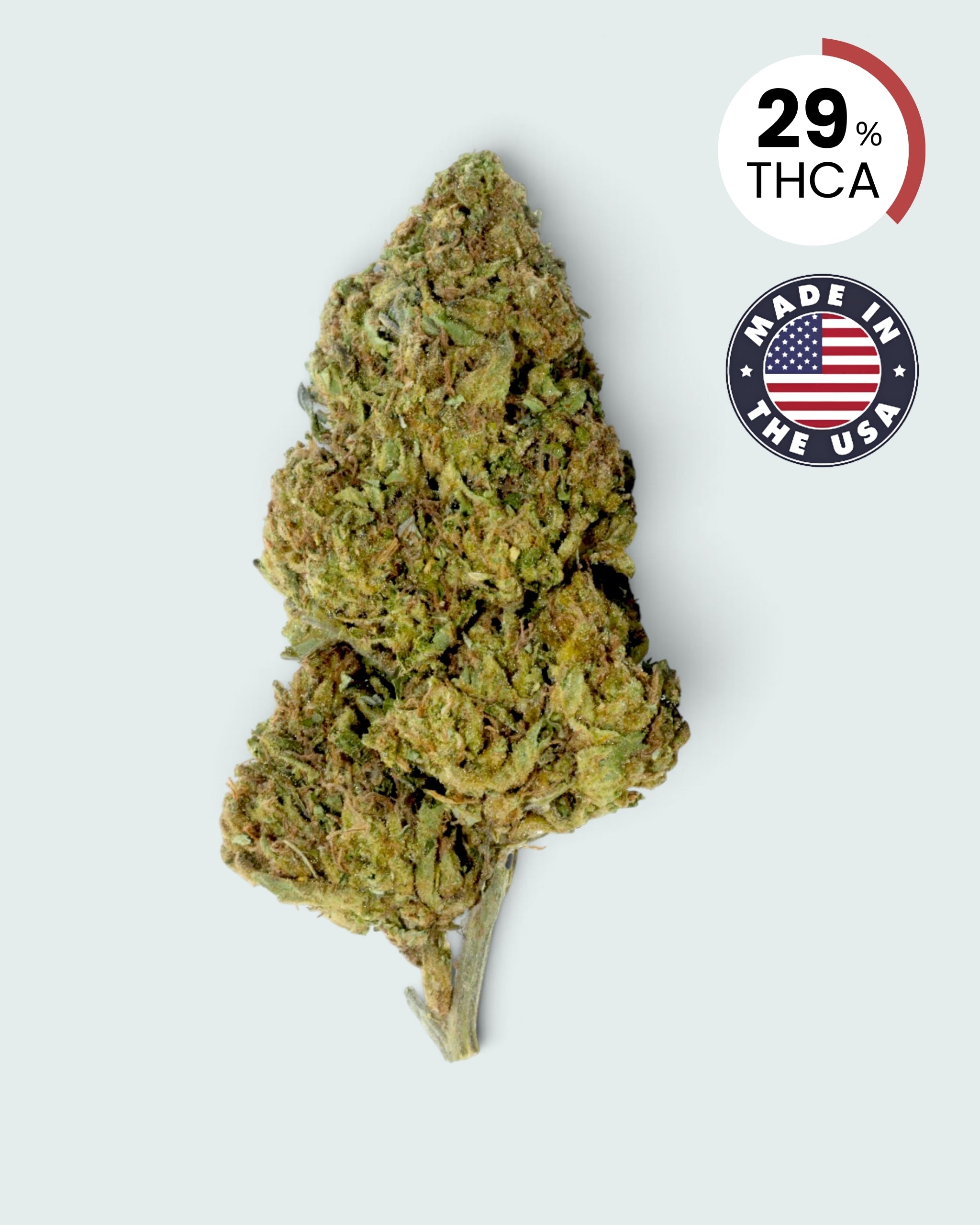 Hashburger | 29% THCA