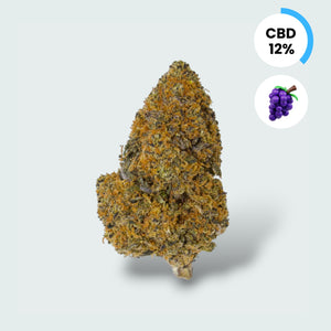 Purple Haze - 12% CBD Topskud