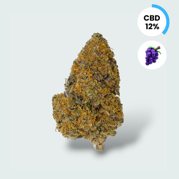 Purple Haze - 12% CBD Topskud